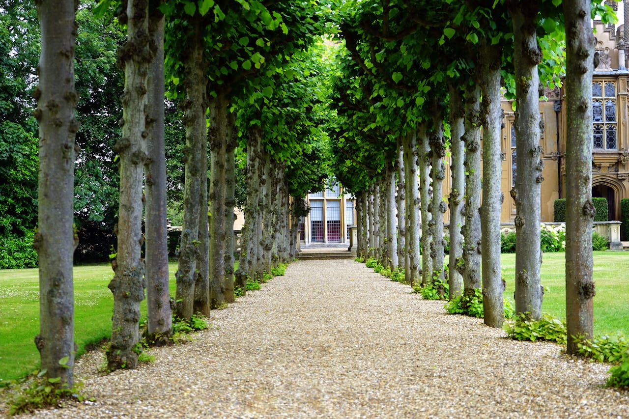 services-02 Peaceful garden walkway with trees leading to a historic building.